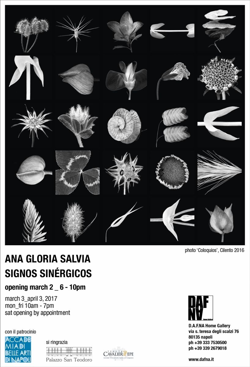 Ana Gloria Salvia – Signos sinergicos